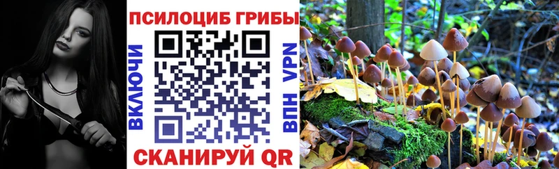 дарнет шоп  Ельня  Галлюциногенные грибы MAGIC MUSHROOMS 